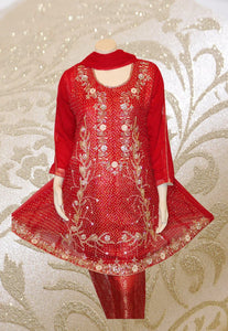 E26 Pakistani Indian Heavy Party Wear Luxury  Chiffon Dress In Red 3 PC