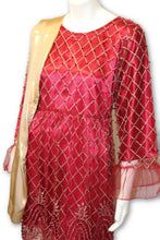D12 Pakistani Indian Women Embroidered Organza Formal Dress