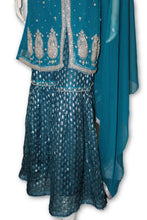 E16 Pakistani Indian 3 Pc Party Wear  Chiffon Dress