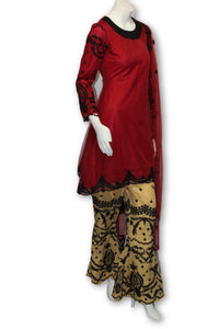 E17 Pakistani Indian 3 Pc Party Wear Net Embroidered Dress