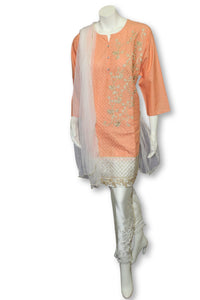 D03  Pakistani Indian Women 3 Piece Semi Formal Dress